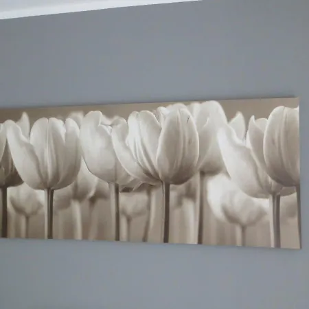 Appartement Belvedere