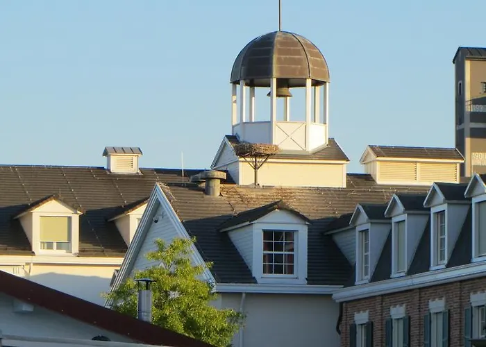 Belvedere דירה רוסט